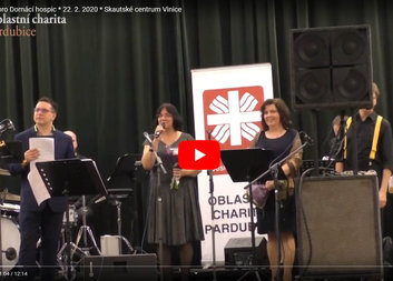 7. charitní ples pro Domácí hospic