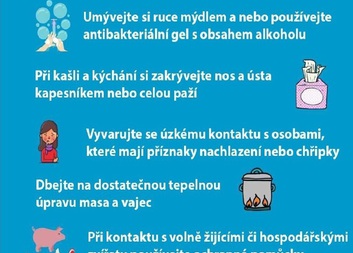Prohlášení ředitelky Oblastní charity Pardubice
