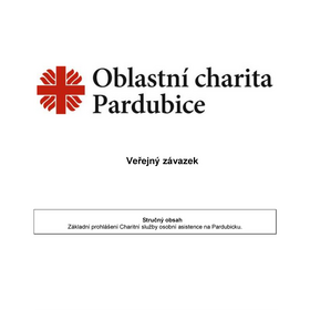 Veřejný závazek