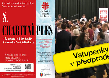 8. charitní ples * 18. 2. * vstupenky v předprodeji