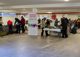 Výroba adventních věnců na Univerzitě Pardubice