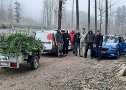 Těžba větví Chariťáci a dobrovolníci z ČSOB pojišťovny